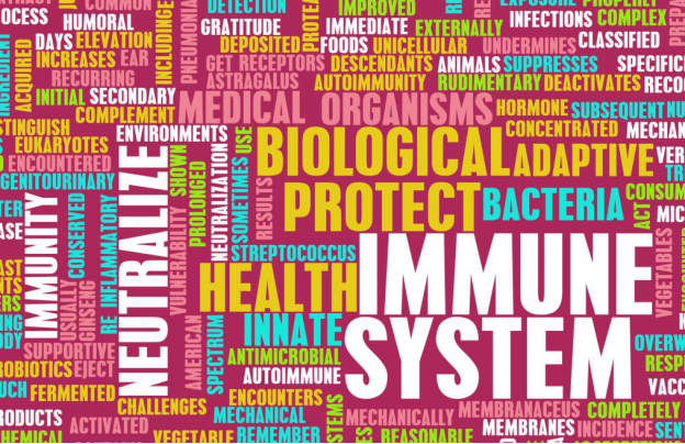The Body’s Immune System
