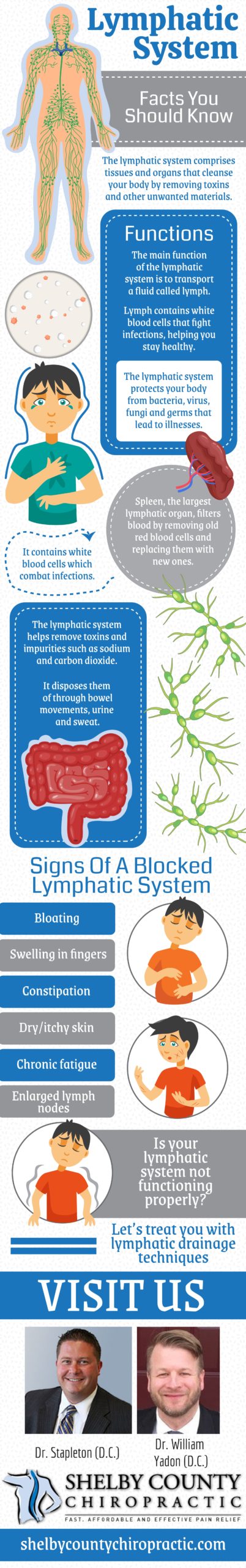 Lymphatic-System