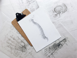 medical pencil sketch of a spine placed on top of a brown clipboard